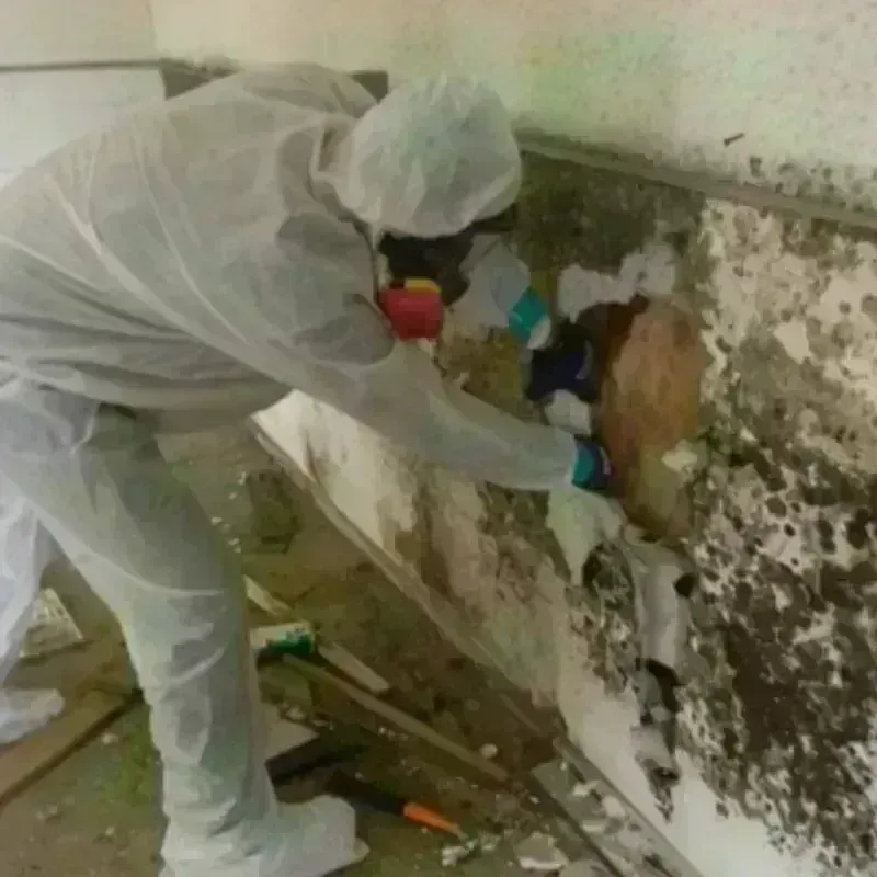 Mold Remediation and Removal in Moundridge, KS